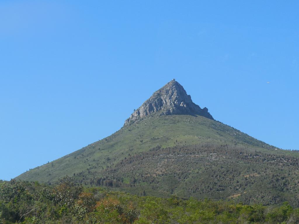 Suedafrika (575)